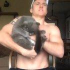 A song to soothe the beast