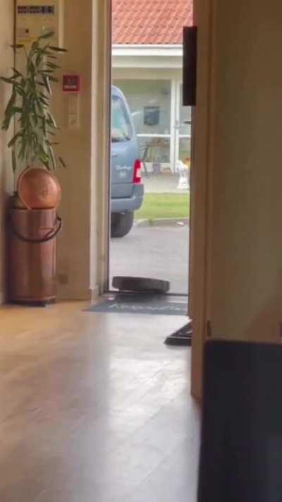 I quit, other houses need me