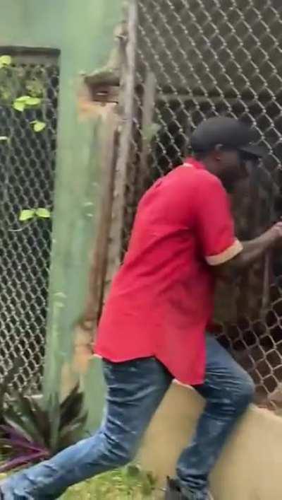 Play stupid games, win stupid prizes. Lion at Jamaica Zoo ripped his finger off.