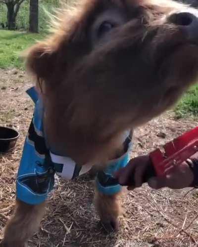 James having a nice brush