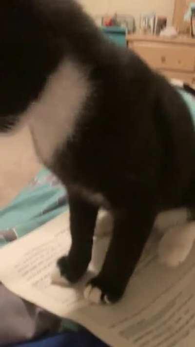 No homework. Only me.