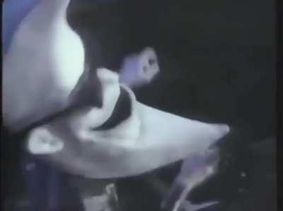 Round two gents (repost)