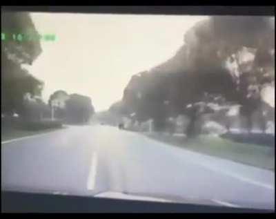 Man runs over a group of women