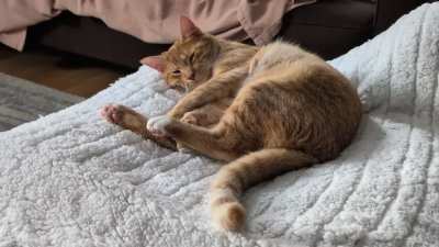 It's electric blanket season 🧡