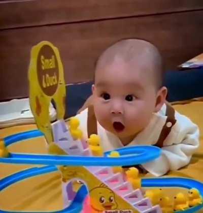 Excited to watch duck ladder toy in action