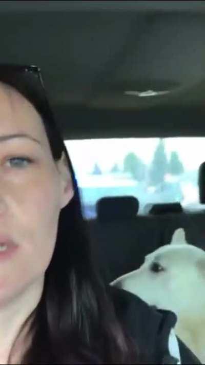 to escape after striking a police offiicer