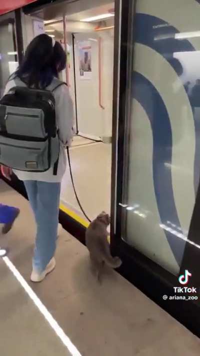 Hanging out on the subway with his mom.