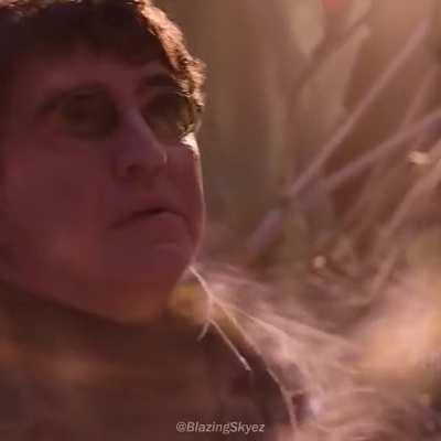 Spider-Man: Shrek Goes Back Home