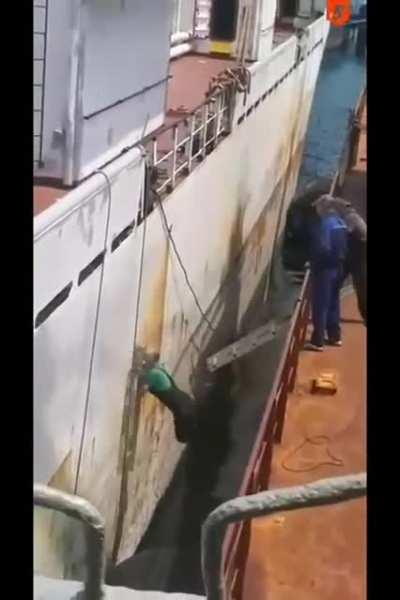 Climbing a fragile ladder. receives a free lesson on how gravity works.