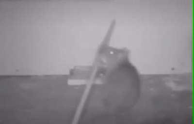 Mouse uses a tool to set off mousetrap and get the food safely.