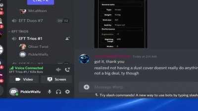 I joined a EFT group discord to find people to play with. this was the first thing I heard.