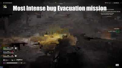 The bug front vs the bot front