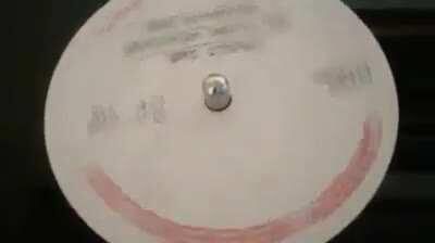 Lost demo of a Steely Dan song owned by a private collector who refuses to share anymore than this short video clip