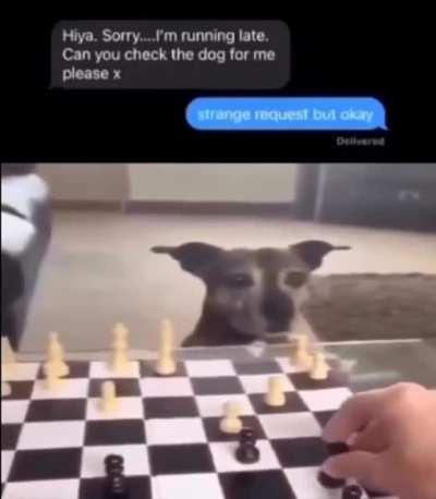 What can i do from this position? Im white