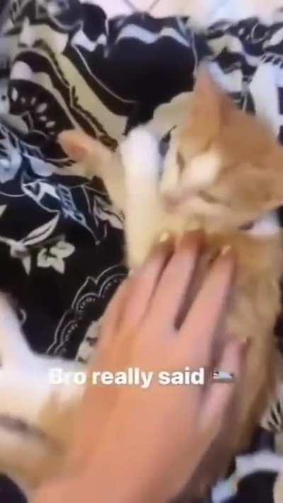 That soooo sweeeet...