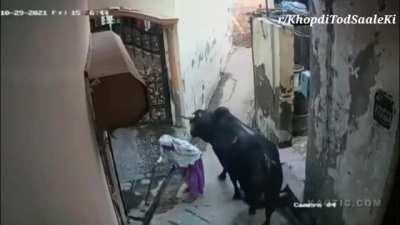 Dadi are you alright.