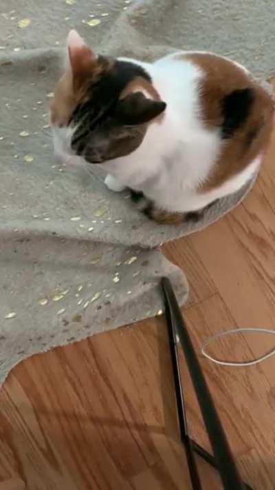 She has changed SO MUCH during the lockdown!