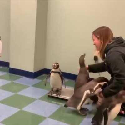 Лучшая работа в мире