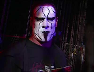 Sting & Nash on why they're pro-wrestlers