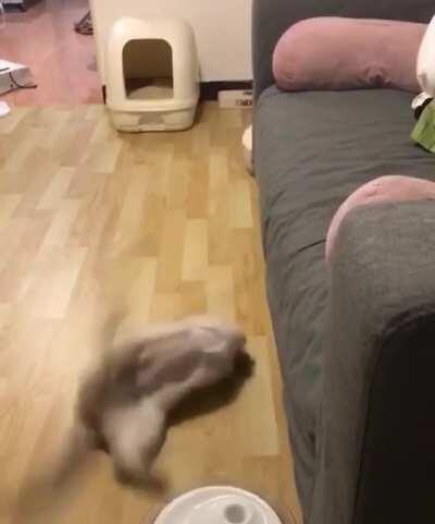 Escalated quite quickly (u/cyan1618)