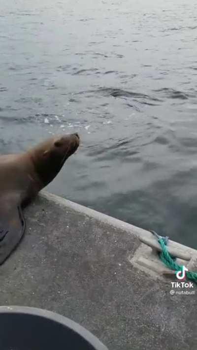 So much is happening I don’t even know what to say