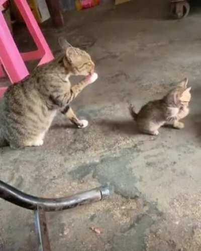 Don’t ever talk to me or my son ever again