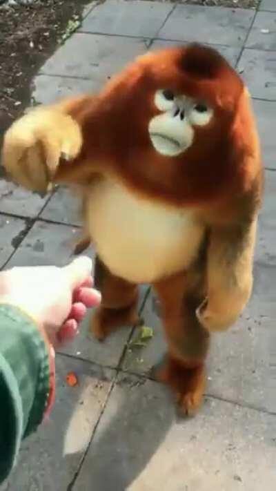 Come muquinha, come vai🙈❤️