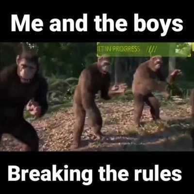 When the vocals enter, dance mode is activated.