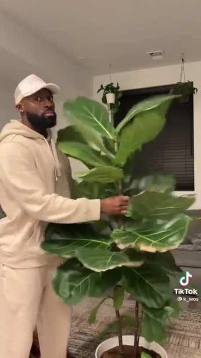 his plant gonna grow up strong and independent