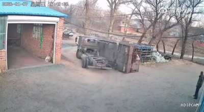 Cow Fugitives on the Run