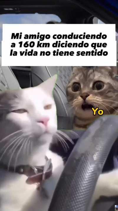 BeelcitosMemes - Video #4011