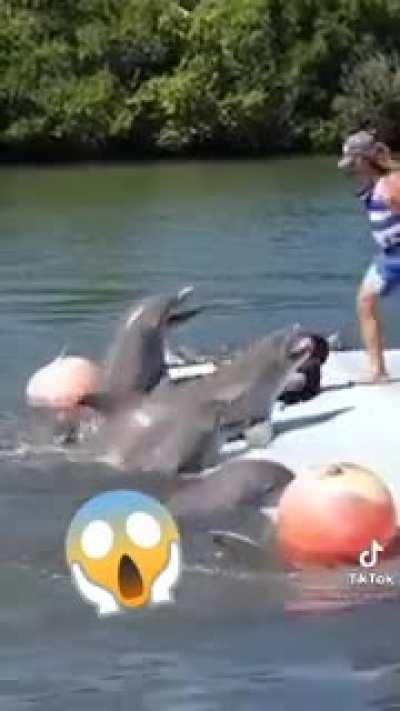 Minha tia me enviou isso...