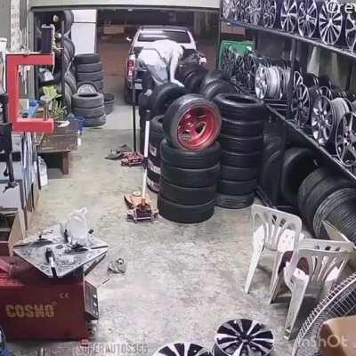 Трансвистит