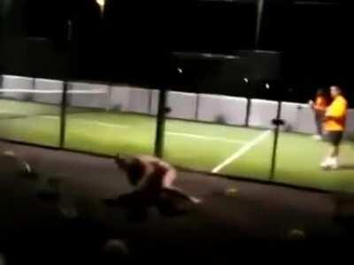 Need some stickers on that glass.