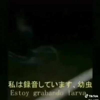 Kasetury 😎👌🏻