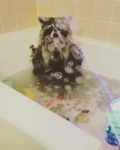 Trashpanda Bath