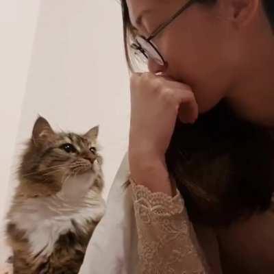 The way this cat looks at her