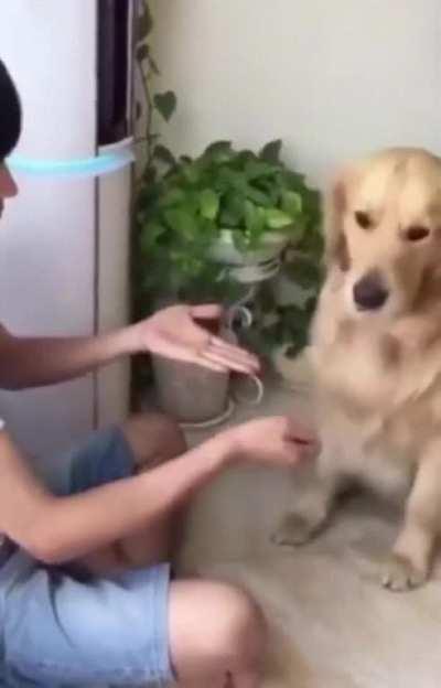 You have chosen ... poorly