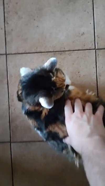 She's deaf and easily stratled