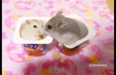 Vai sem título mesmo