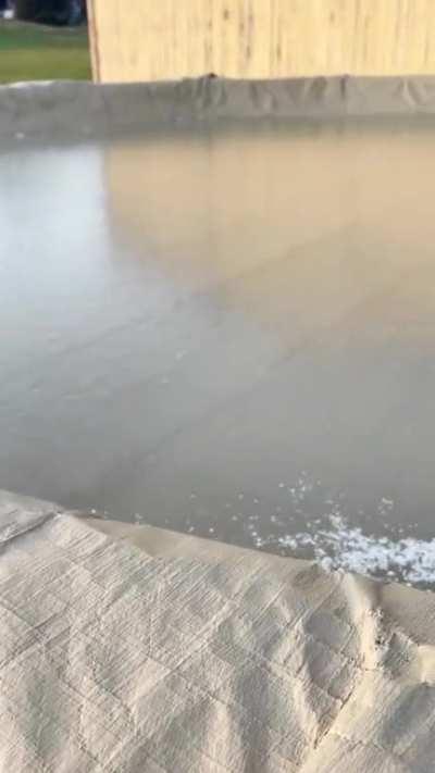 No animals were harmed in the making of this video.