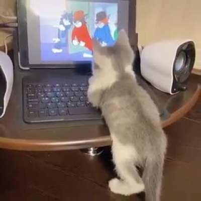 Look at a cartoon lover