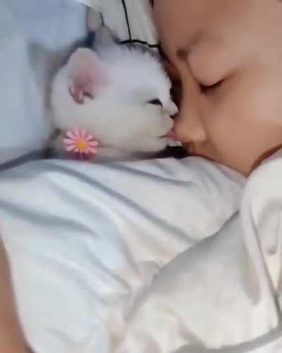 Good night and sleep well!