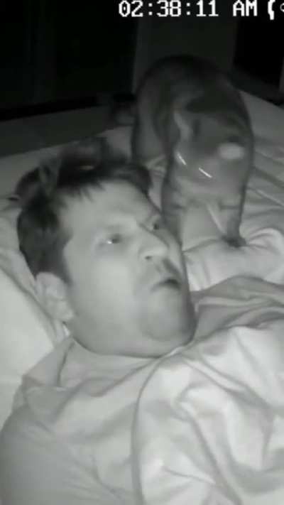 Solo es un pequeño obsequio para mí humano...