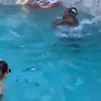 we don't deserve dogs