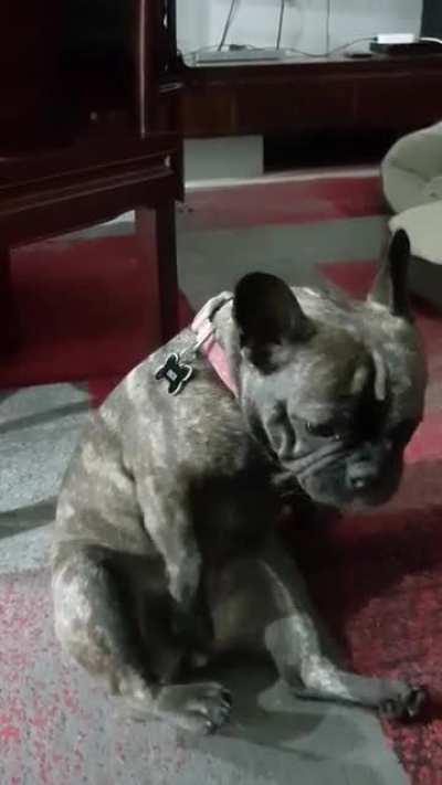 Stephen Crowder has some explaining to do