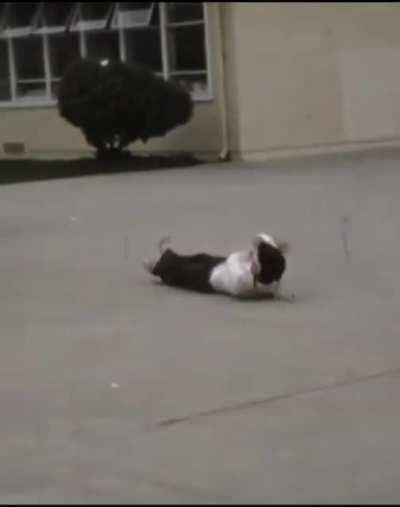 The class clowns of our Highschool, 1976