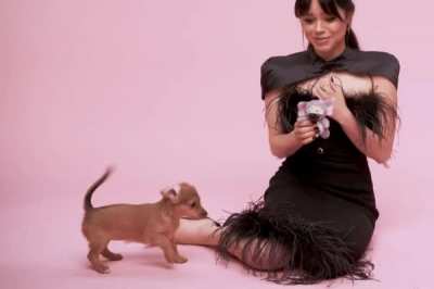 
Jenna Ortega playing with puppies 