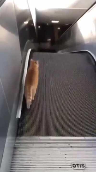 I'm going nowhere...