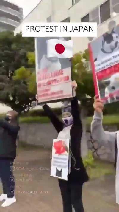 洋大人全球联动，抗议闹钟大爱猫运动，这下文化输出了😅